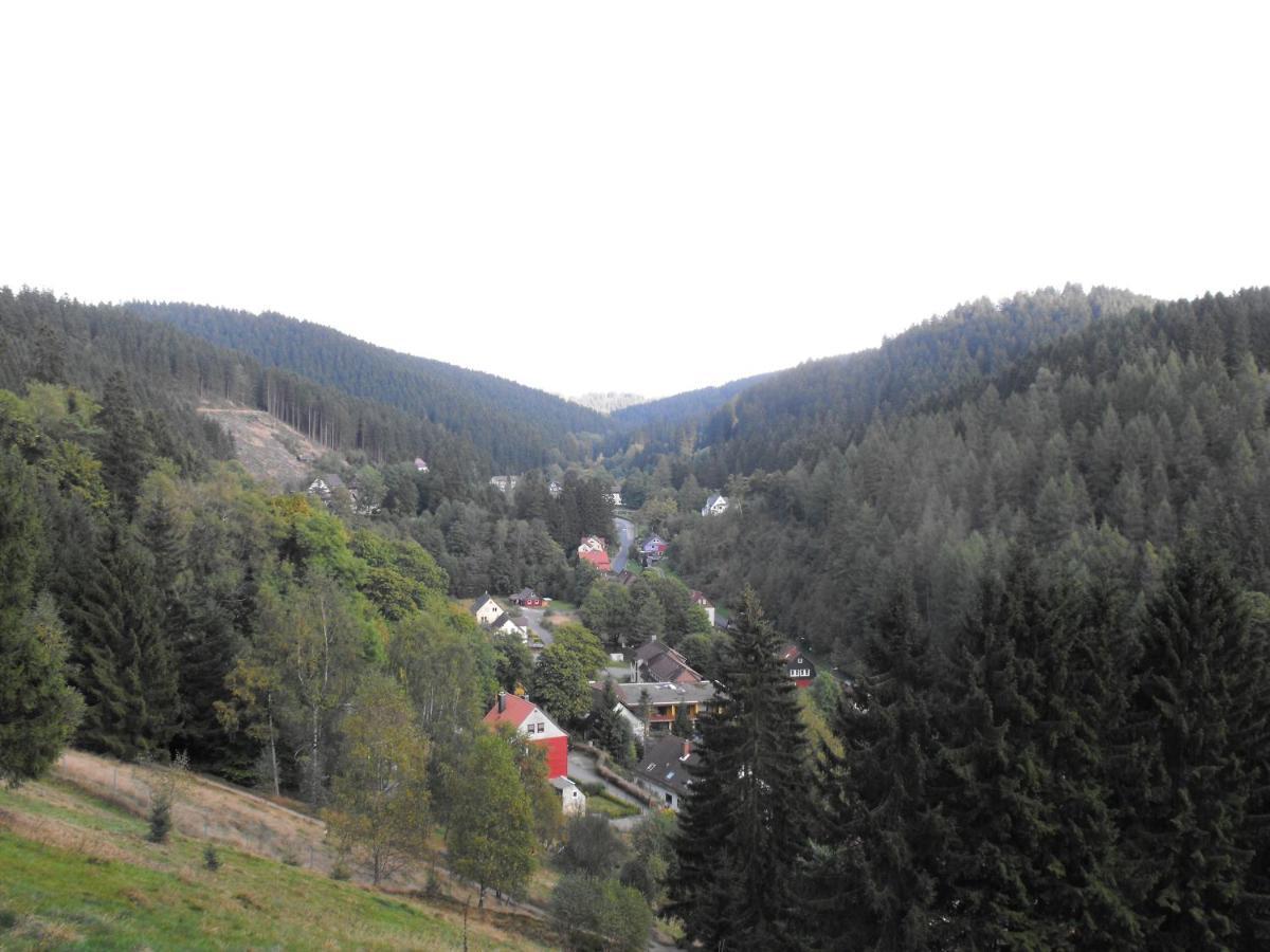 Ferienwohnung Sonnenhuegel Wildemann Dış mekan fotoğraf