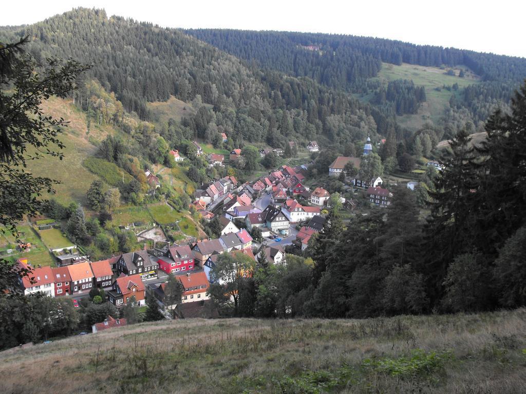 Ferienwohnung Sonnenhuegel Wildemann Dış mekan fotoğraf