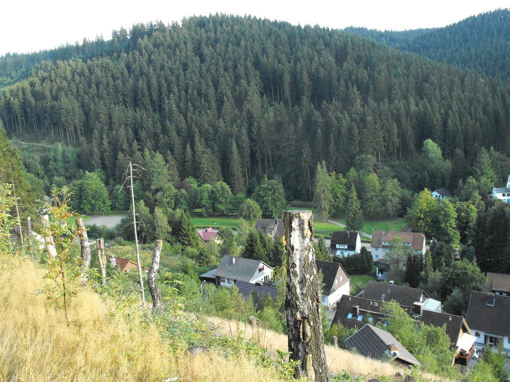 Ferienwohnung Sonnenhuegel Wildemann Dış mekan fotoğraf