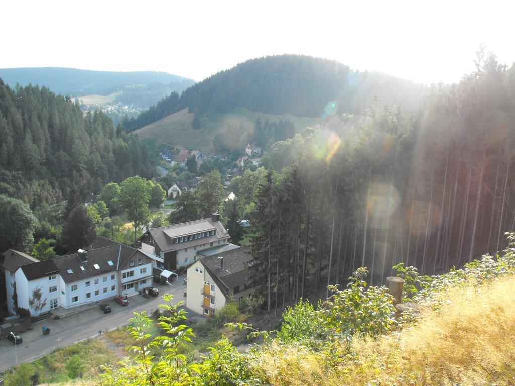 Ferienwohnung Sonnenhuegel Wildemann Dış mekan fotoğraf
